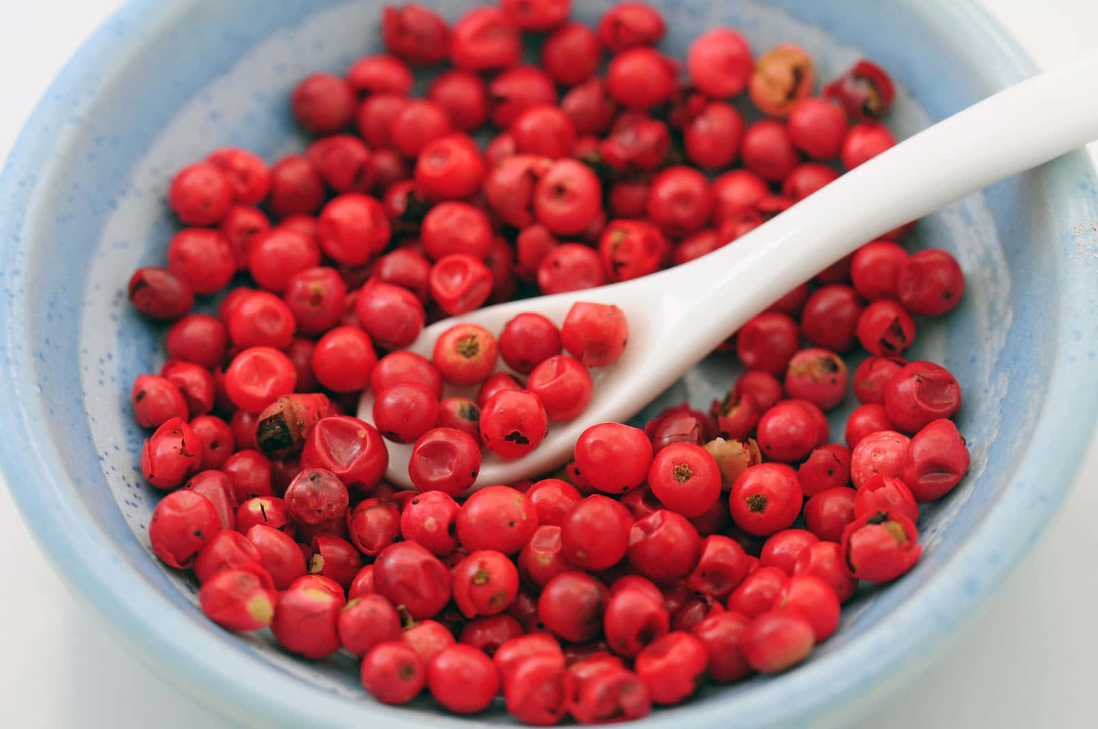 Pink Peppercorn 桌布 壁紙 — 特寫鏡頭：鮮紅色胡椒粒裝滿一個帶斑點的藍色碗，白色湯匙擱在其中。