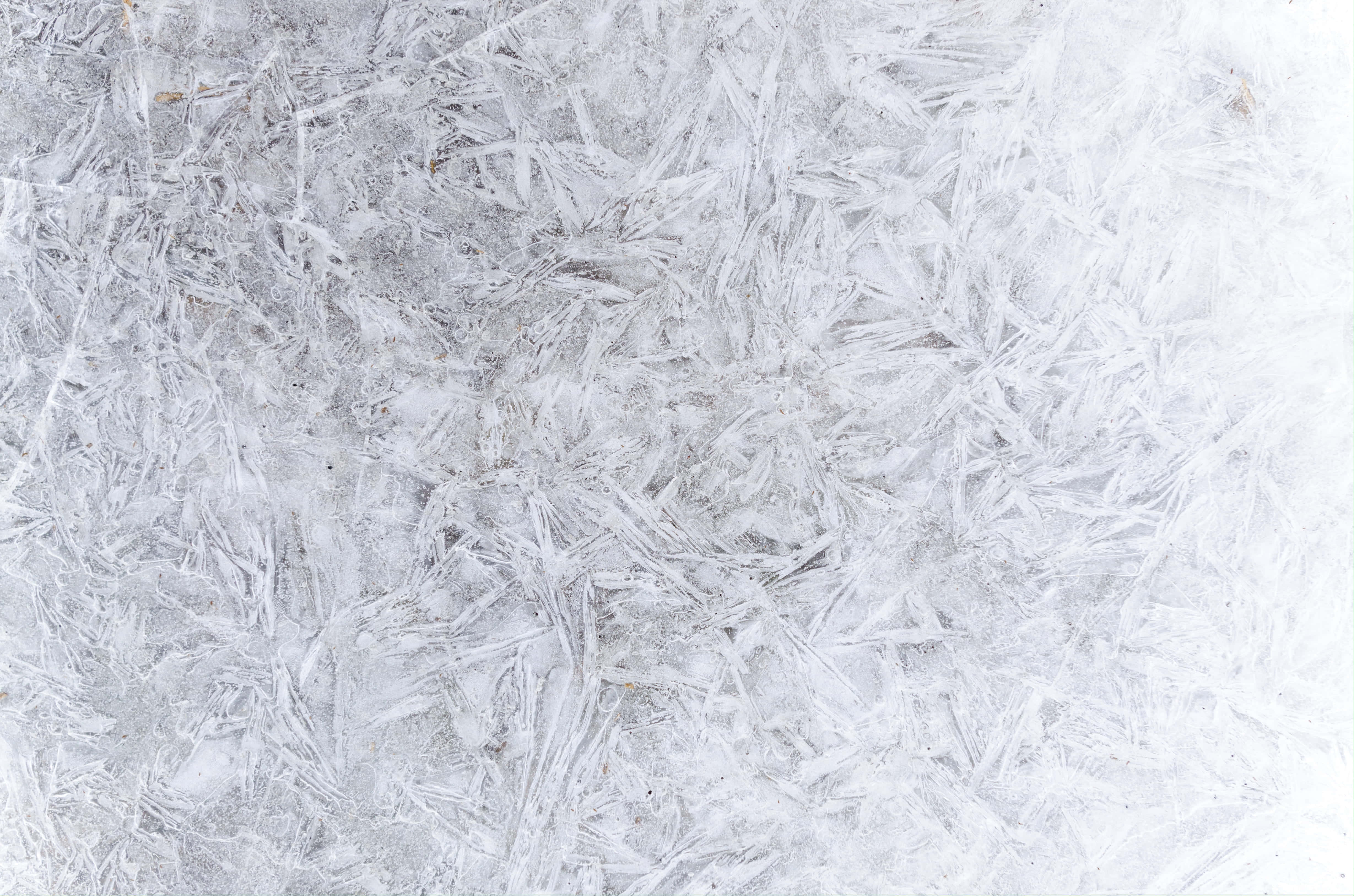 Frost 桌布 壁紙 — 特寫鏡頭展示在寒冷表面上形成精緻冰晶圖案的複雜霜晶。