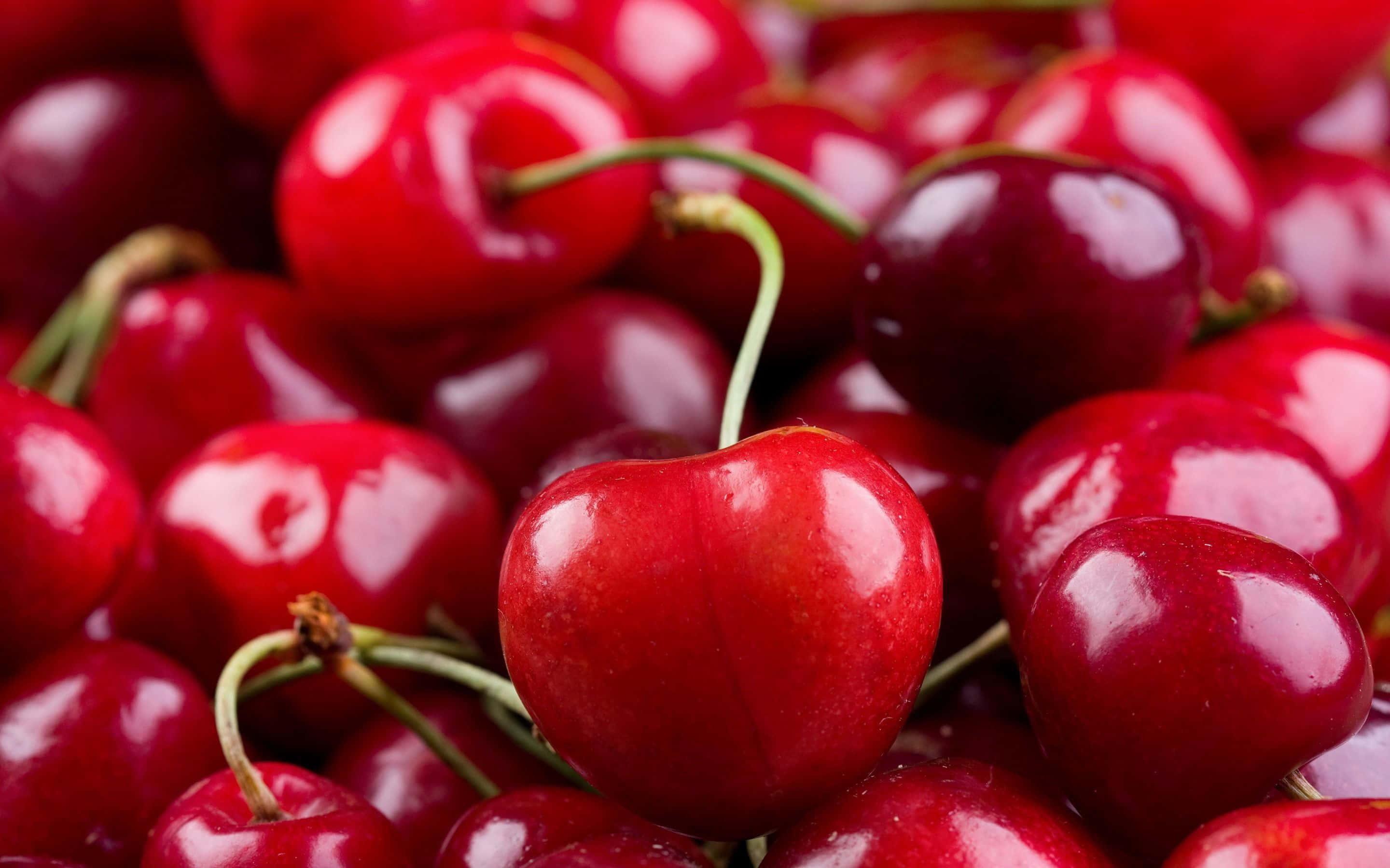 Cherry 桌布 壁紙 — 特寫鏡頭顯示帶有綠色莖的亮紅色櫻桃堆疊在一起，突顯其多汁的質感和鮮豔的色彩。