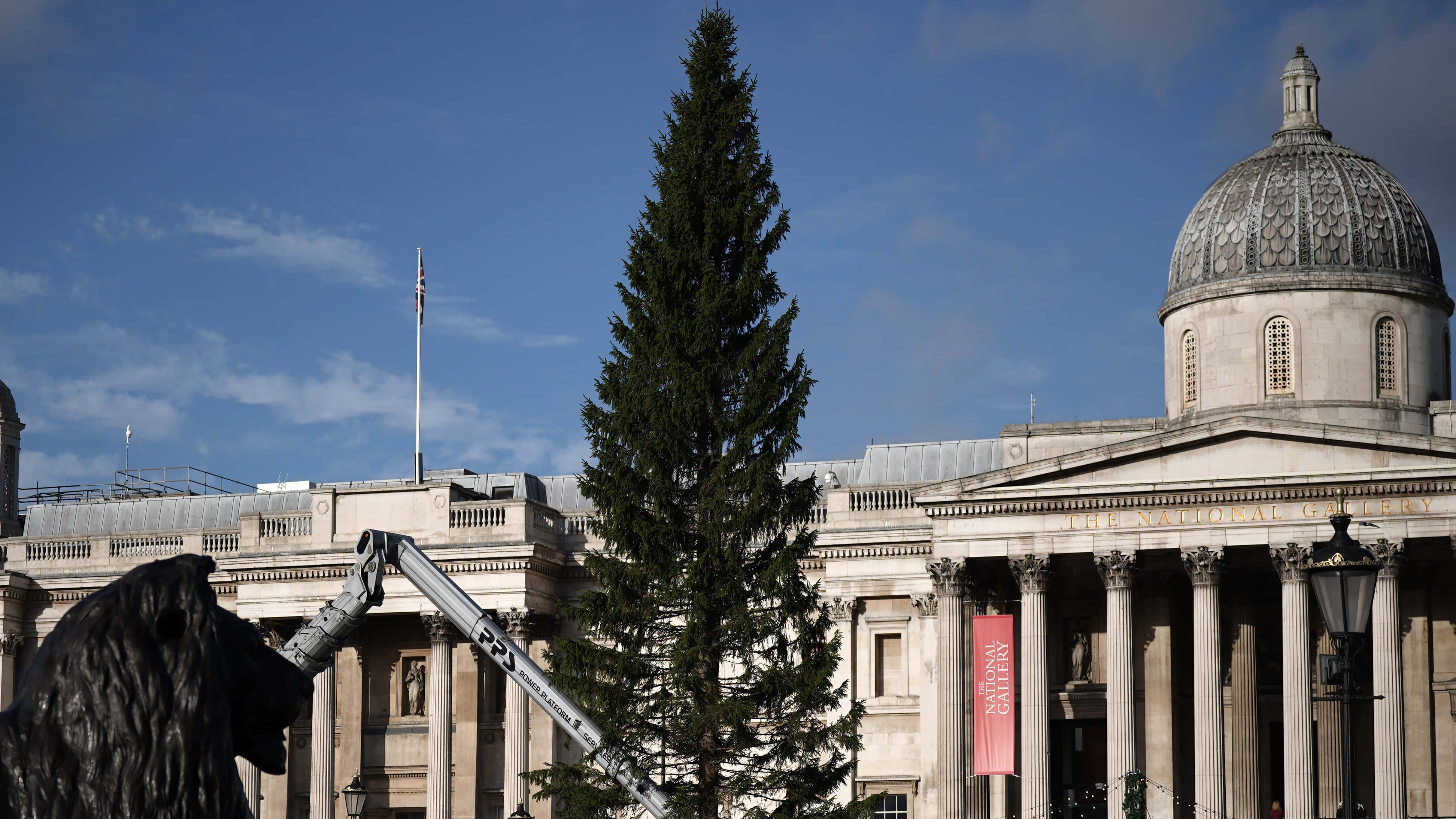 特拉法加廣場經典聖誕樹 壁紙 — 一棵高大的常綠樹聳立在宏偉的國家美術館前，天空湛藍，雲朵稀疏。