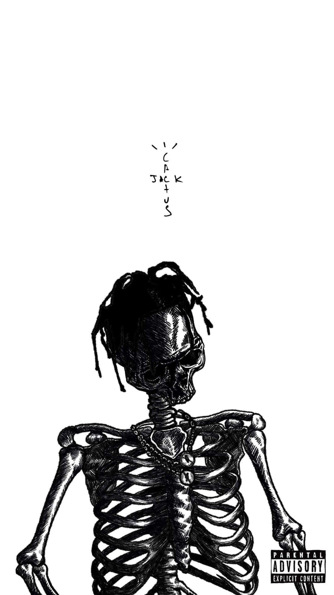 一個梳著辮子頭、戴著鏈條項鍊的骷髏向上看。