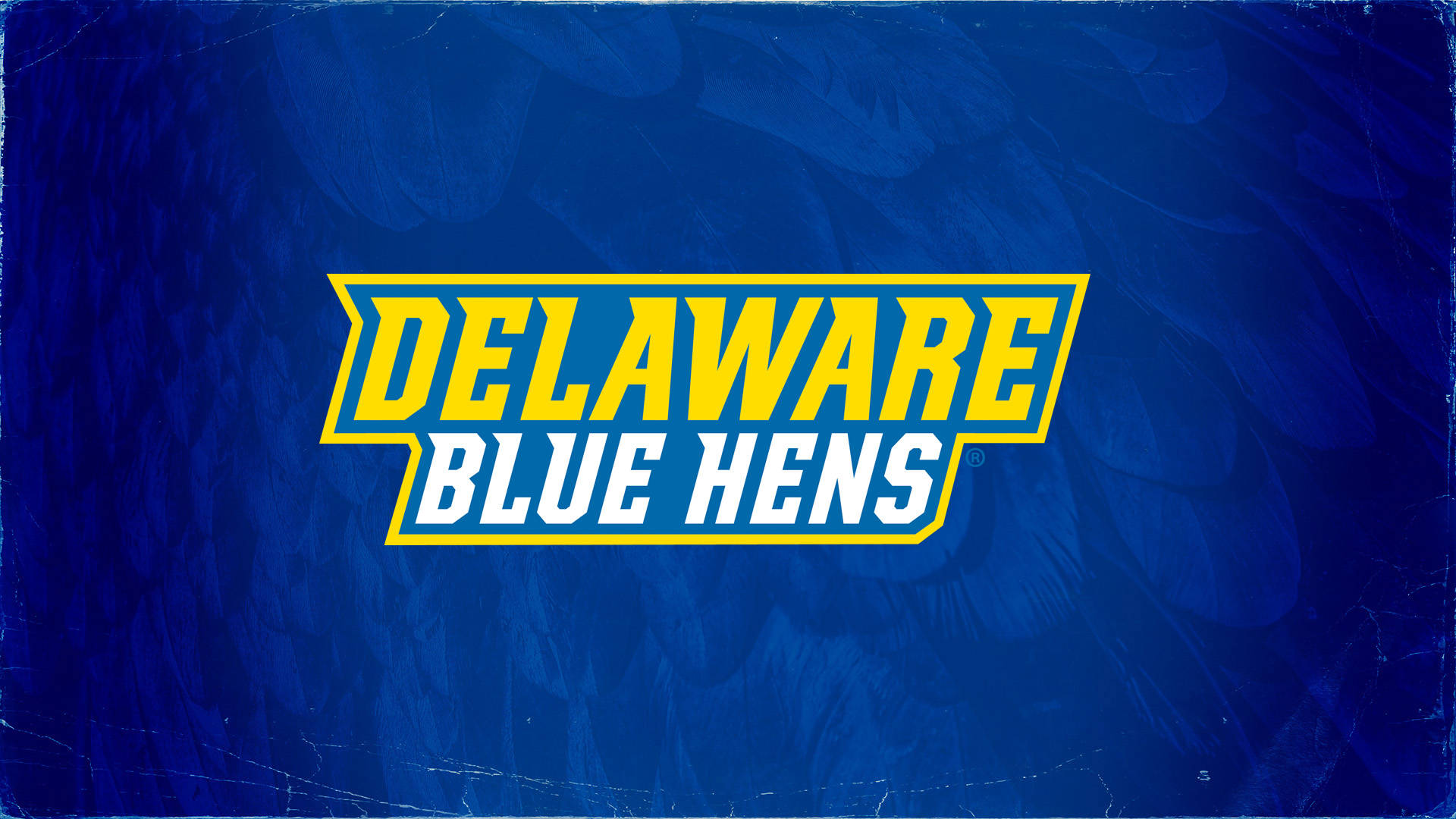 Delaware Blue Hens 運動標誌在帶有羽毛圖案的紋理藍色背景上。