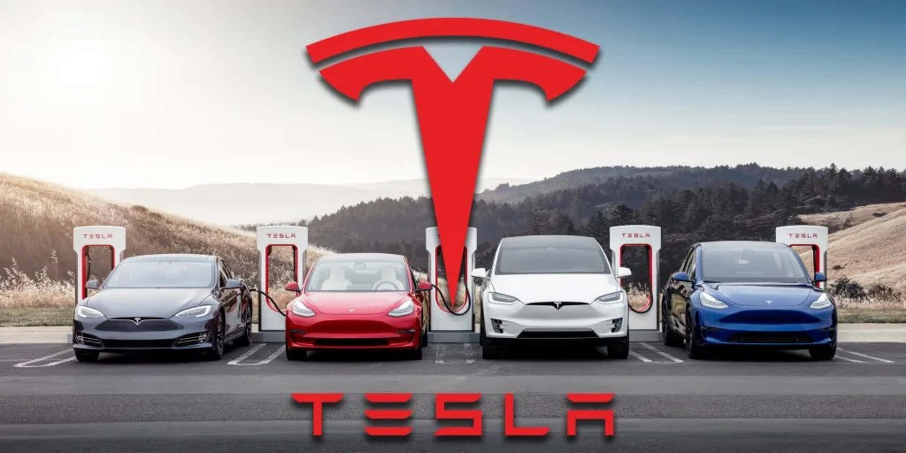 四輛Tesla汽車在風景優美的戶外停車場充電站充電。