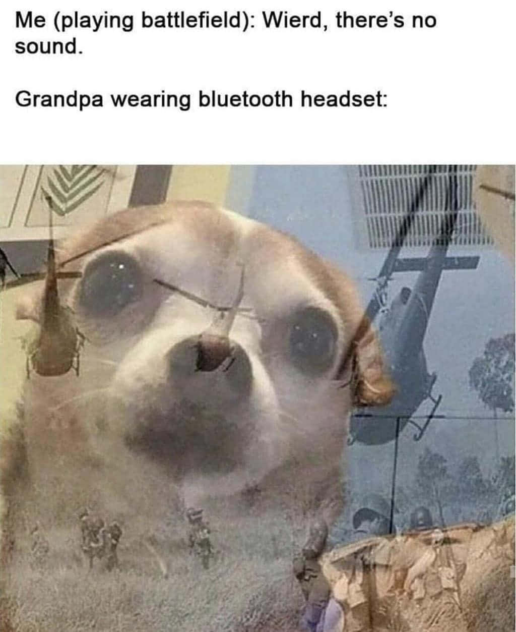 狗狗戰爭回憶 Dank Memes 圖片 壁紙 — 芝娃娃的臉疊加在戰場場景上，有直升機和士兵。