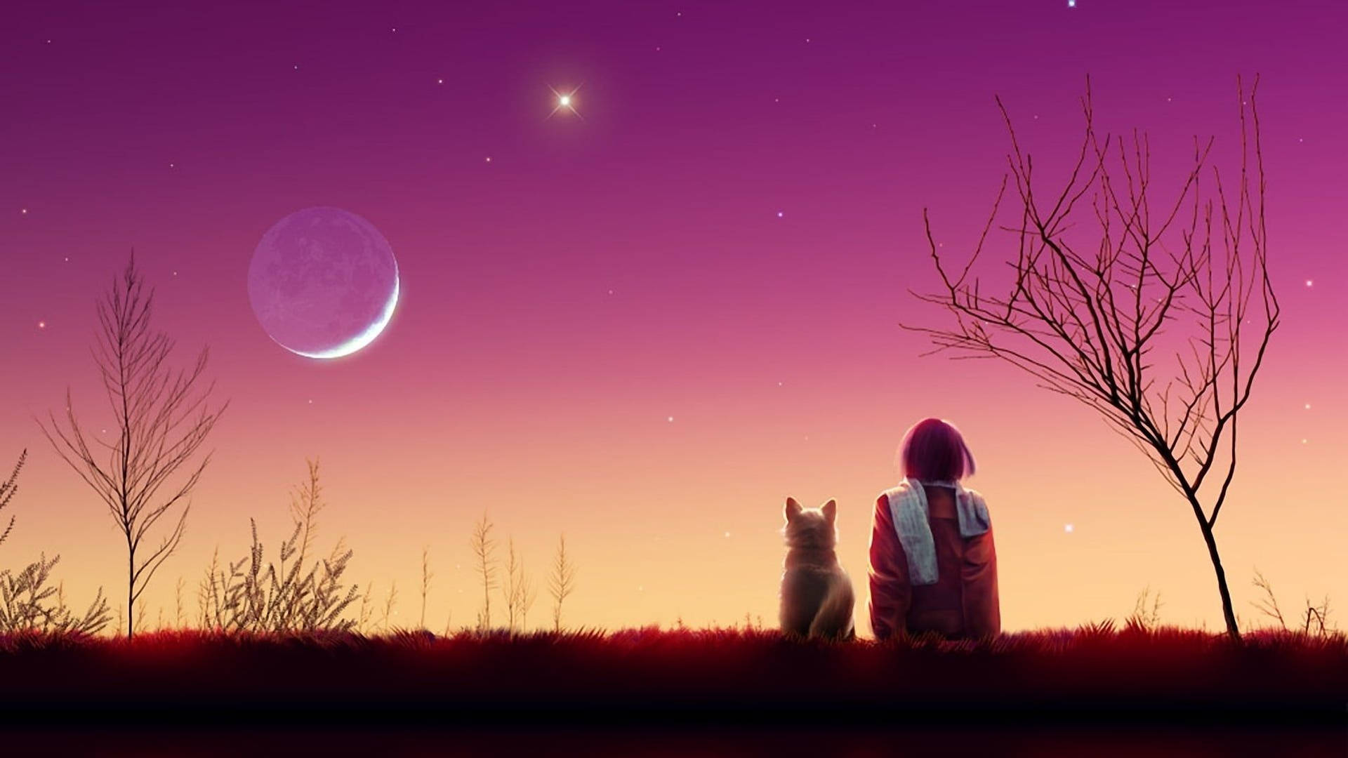 人同貓並排坐，睇住黃昏天空嘅月亮同星星。