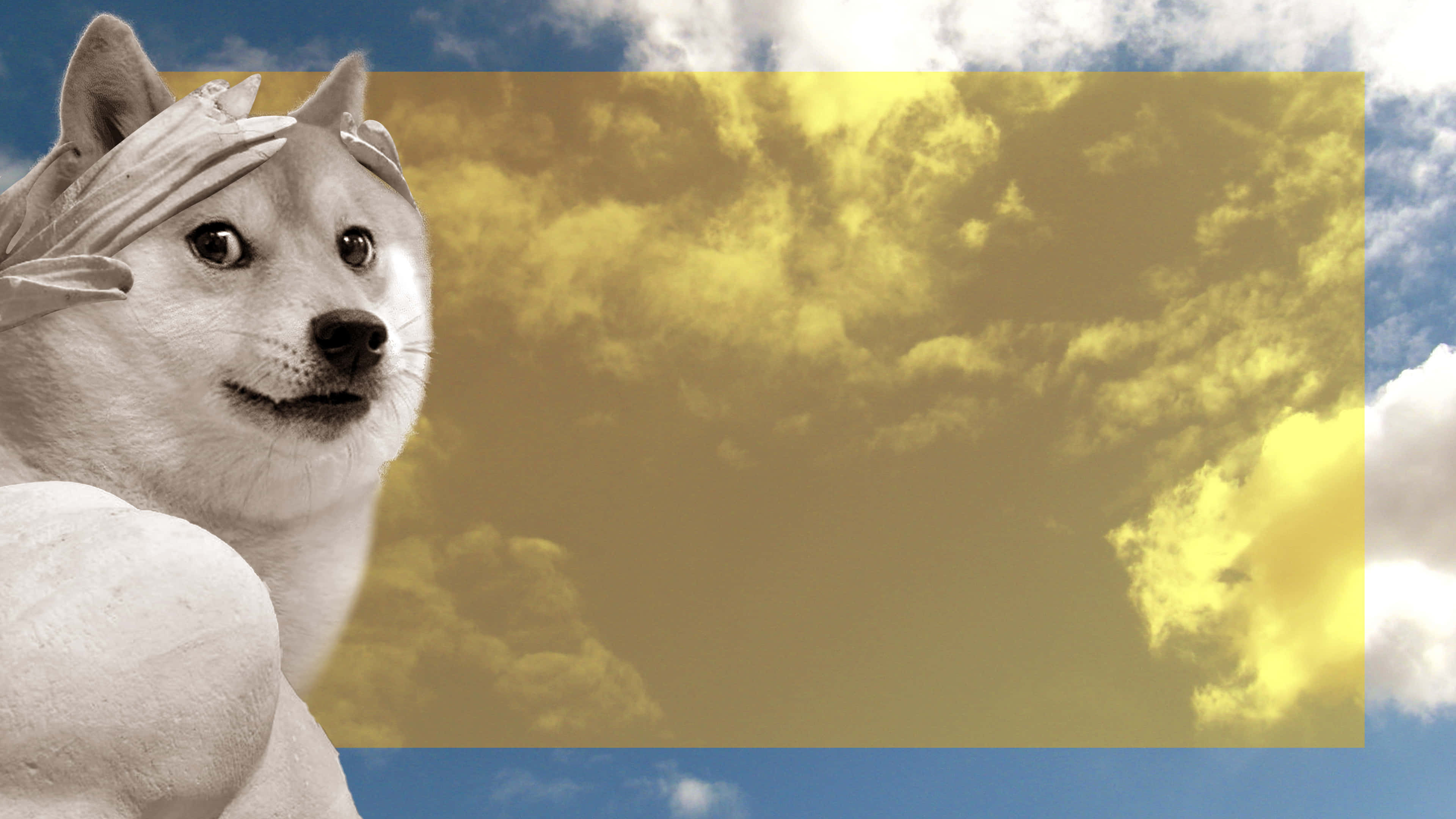 狗狗表情配多雲天空 壁紙 — 一隻肌肉發達的柴犬戴著頭帶，站在被藍色雲朵和金黃色雲層分割的天空前。