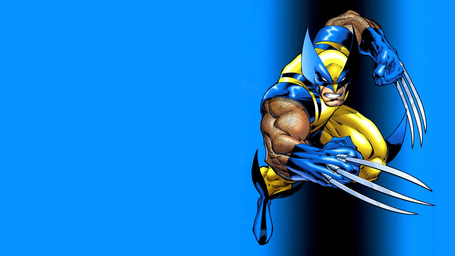Cartoon Heroes 桌布 壁紙 — 狼人（Wolverine）身穿標誌性的藍黃戰衣，在純藍色背景上伸出利爪向前猛撲。