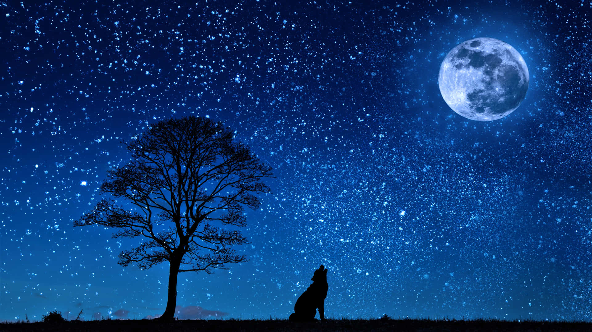 狼在滿月下對著星空和禿樹嚎叫。