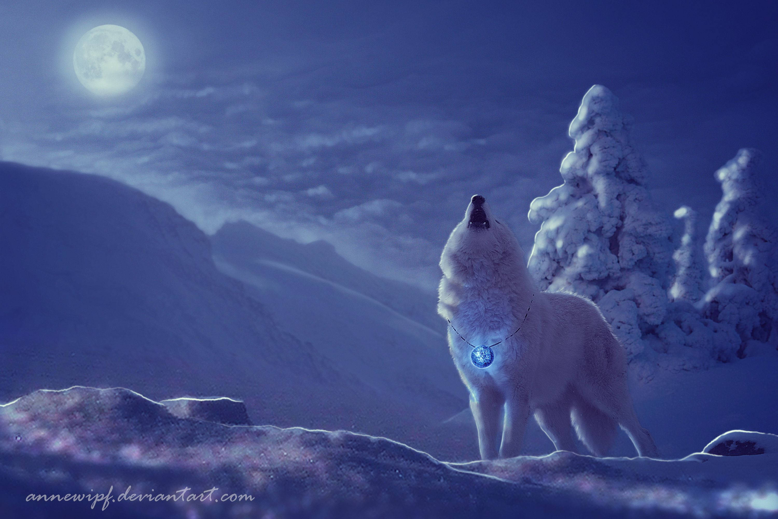 狼嚎冬季風景 壁紙 — 一隻孤獨的白狼在滿月下，於白雪覆蓋的山脊上，在佈滿霜的松樹和繁星點點的夜空下嚎叫。