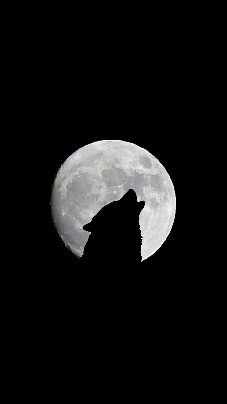 狼嚎月夜 壁紙 — 狼的剪影對著漆黑天空中細節豐富的滿月嚎叫。