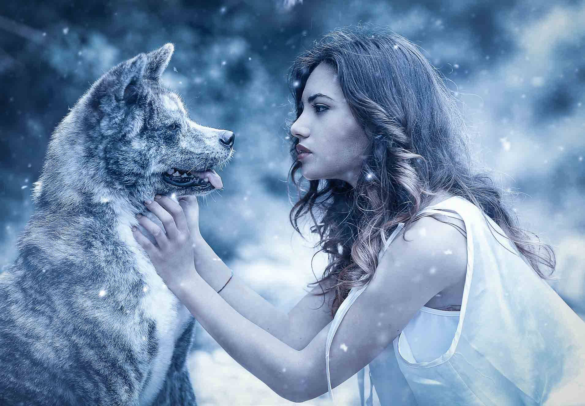 女性在雪白神秘藍色景觀中溫柔觸摸狼的臉龐。