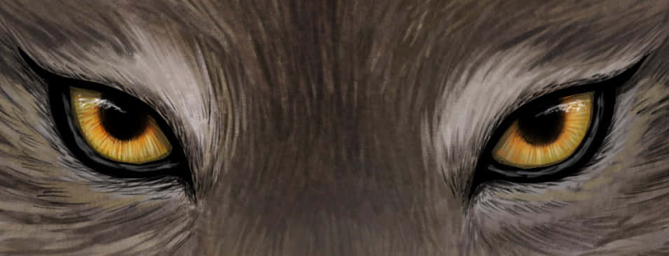 Wolf Eyes 桌布 壁紙 — 狼的銳利琥珀色眼睛被細緻的灰色毛髮框住的強烈特寫。