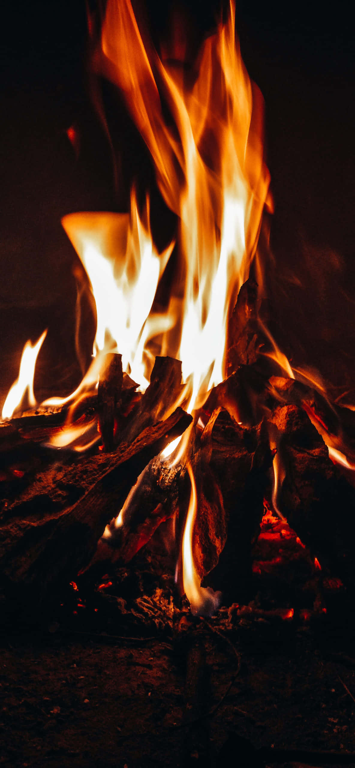 Fall Bonfire 桌布 壁紙 — 猛烈的火焰在燒焦的木頭上跳躍舞動，在漆黑的夜晚環境中投射出溫暖的橙色光芒。