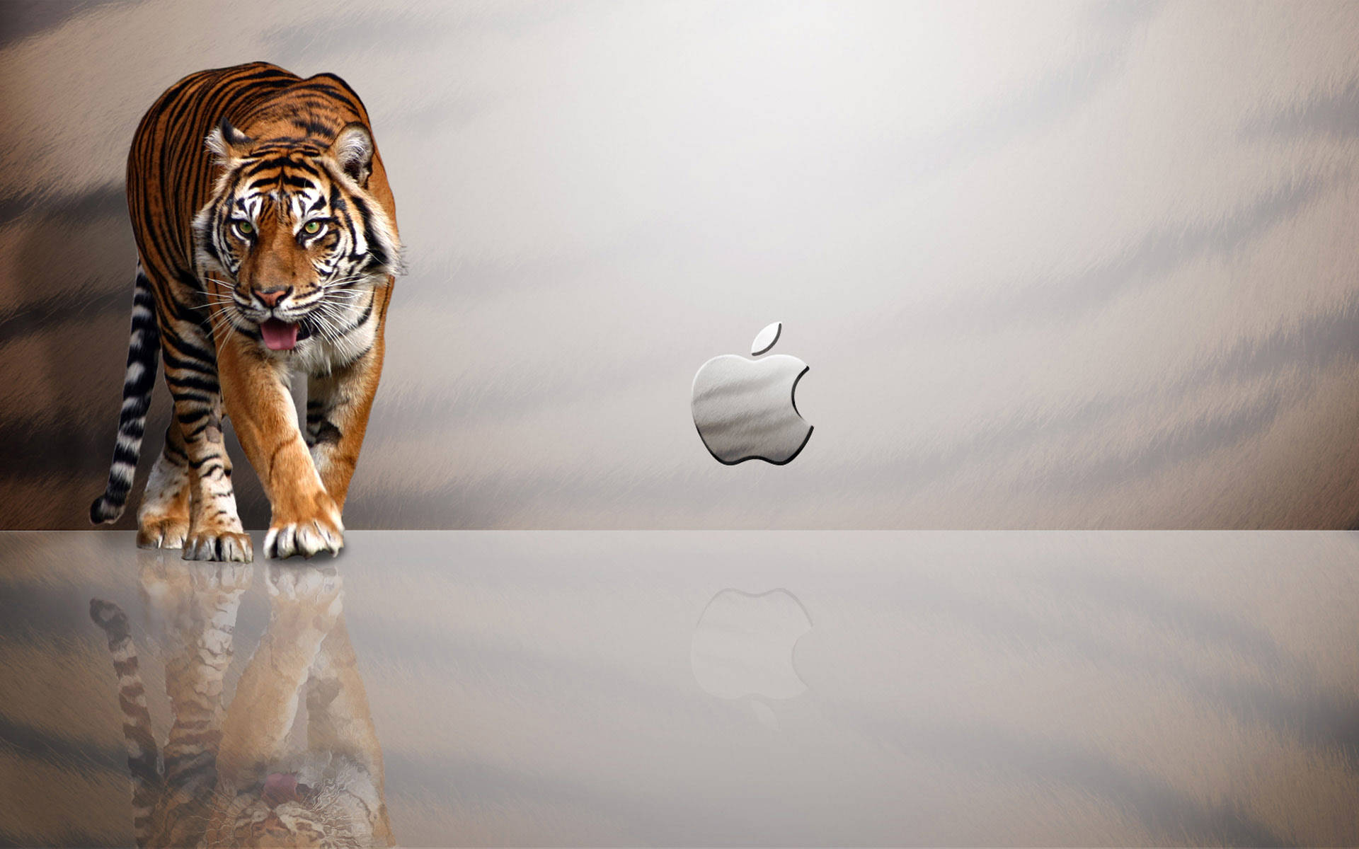 猛虎蘋果 macOS 壁紙 — 一隻兇猛的老虎在反射表面上向前邁步，旁邊是銀色Apple標誌，背景為柔和的漸變色。