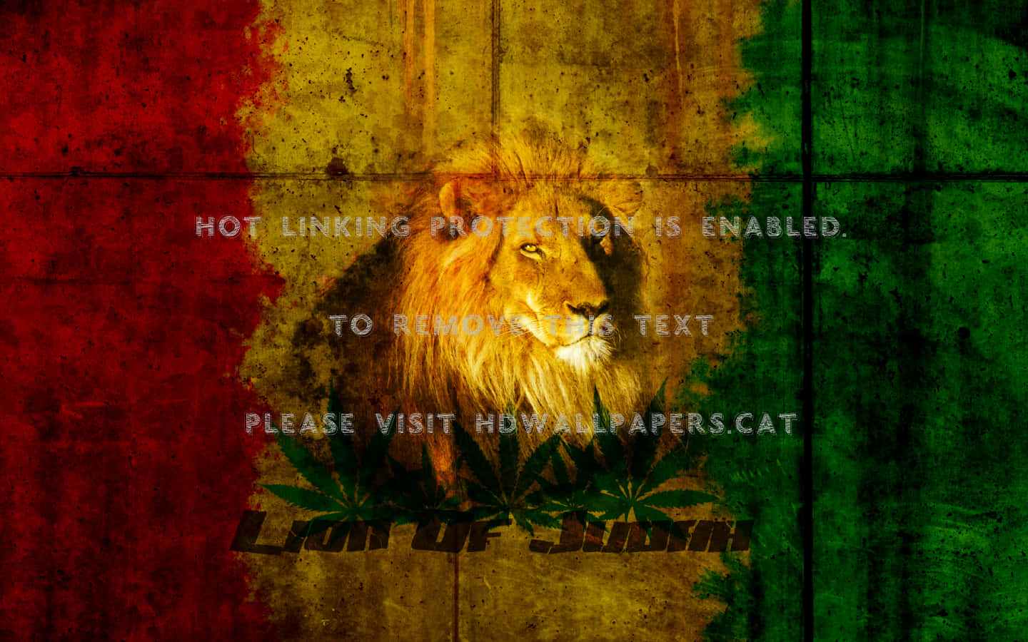 猶大之獅 壁紙 — 一頭擁有豐滿鬃毛的雄獅，在風化的拉斯塔法里旗幟背景前，帶有大麻葉圖案，直視前方。