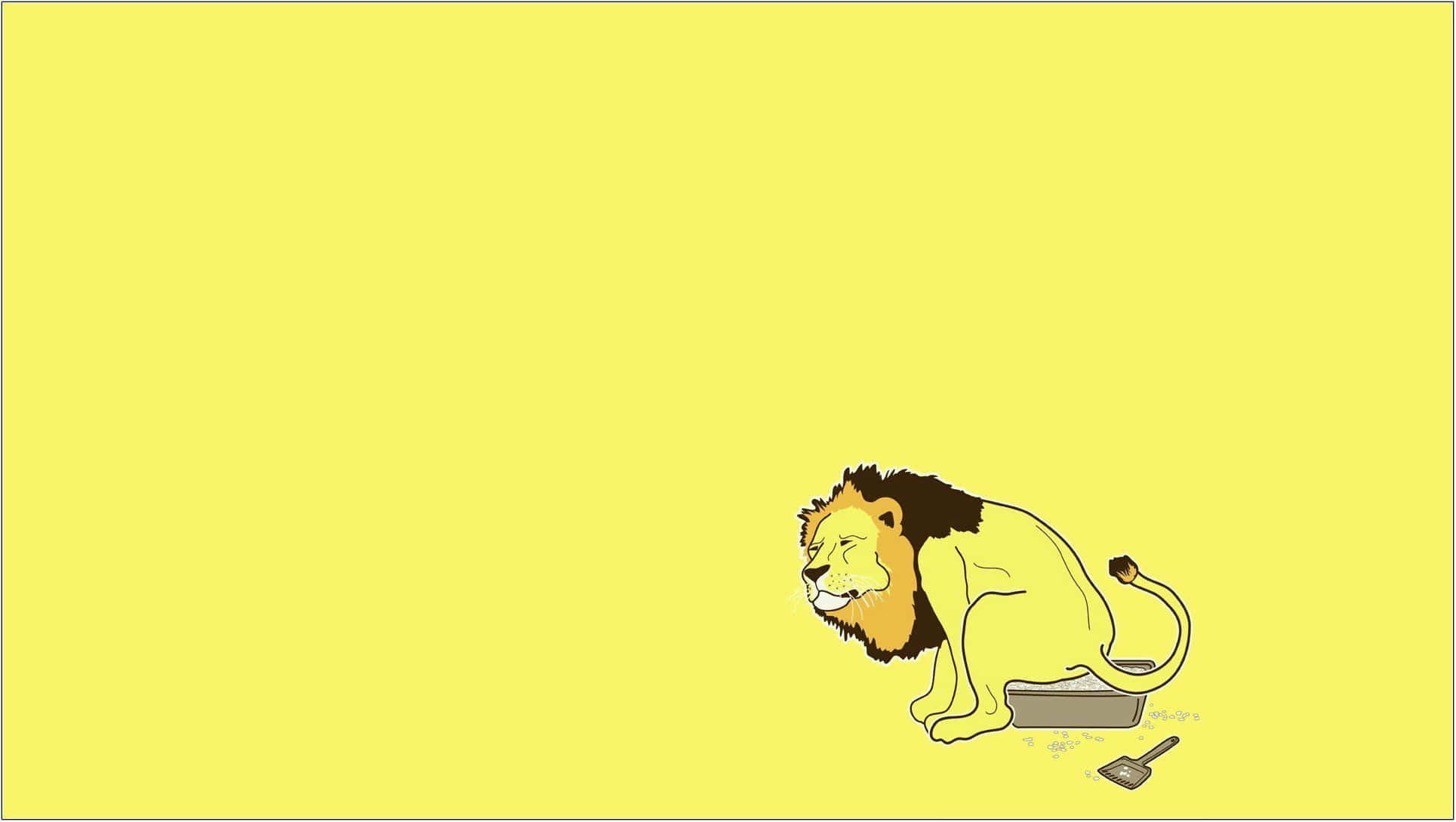 獅子坐在黃色背景上 壁紙