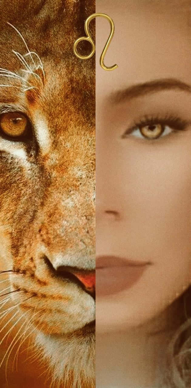 獅子 桌布 壁紙 — 獅子臉和女人臉的分割肖像，上方有金色獅子座符號，兩者均以暖色調呈現。