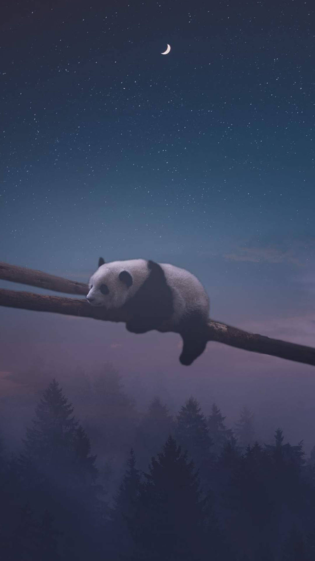 熊貓在繁星點點的夜空下，伴隨著新月在樹枝上睡覺。