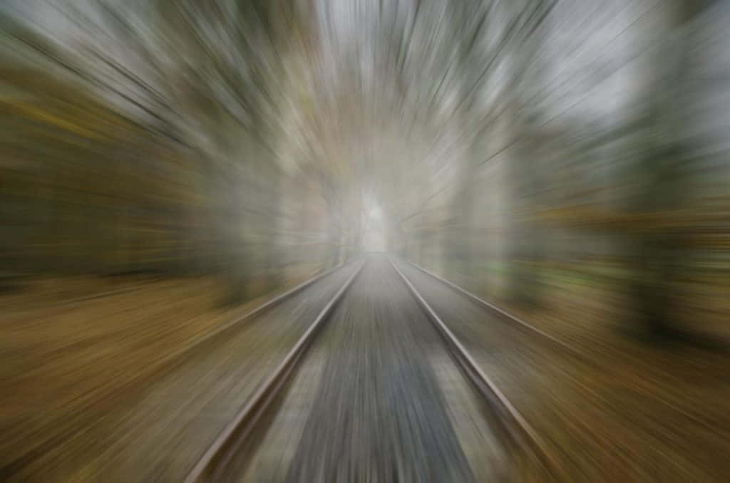 鐵路軌道在秋樹環繞的隧道中疾馳。