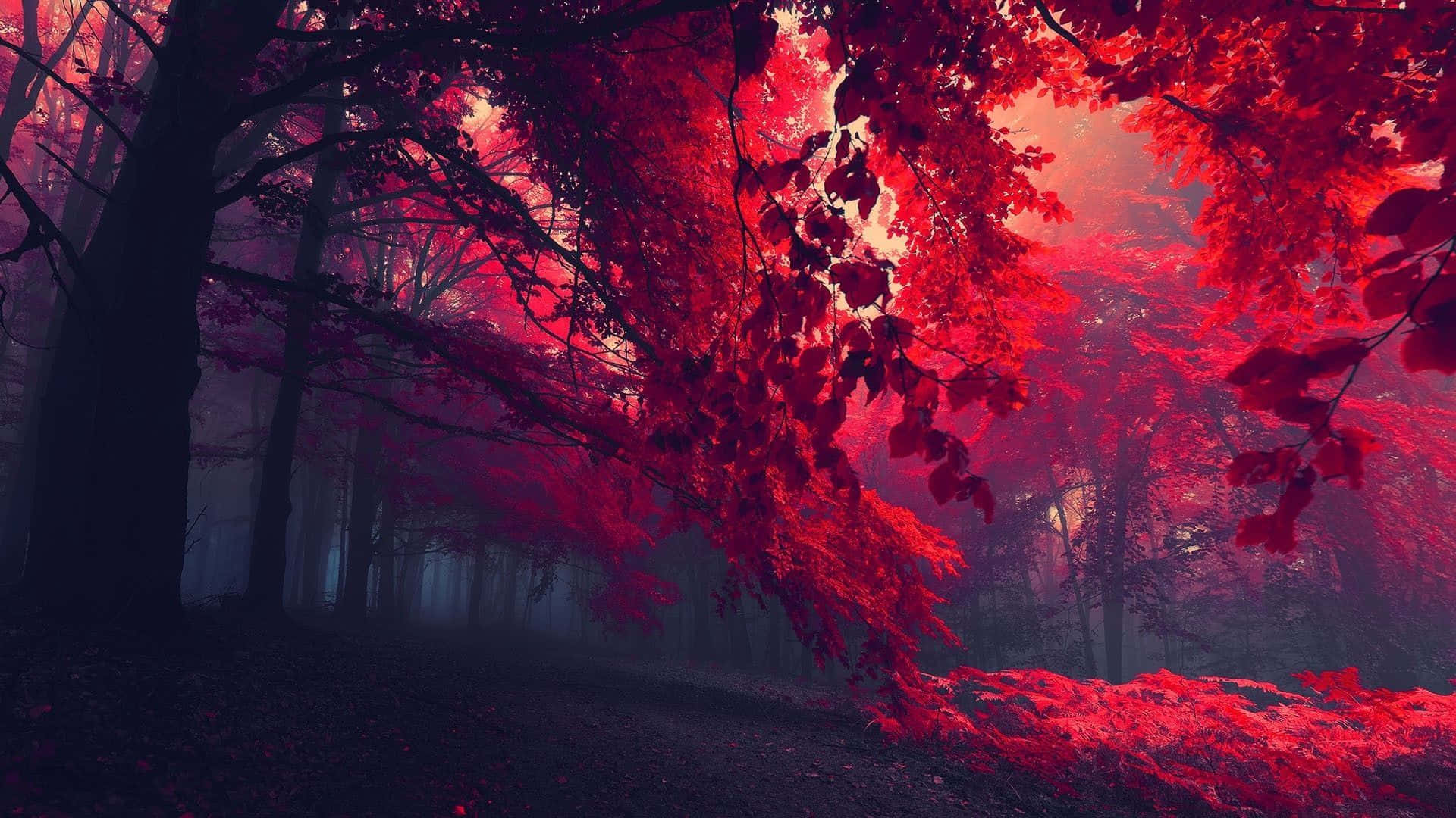 獨特背景 壁紙