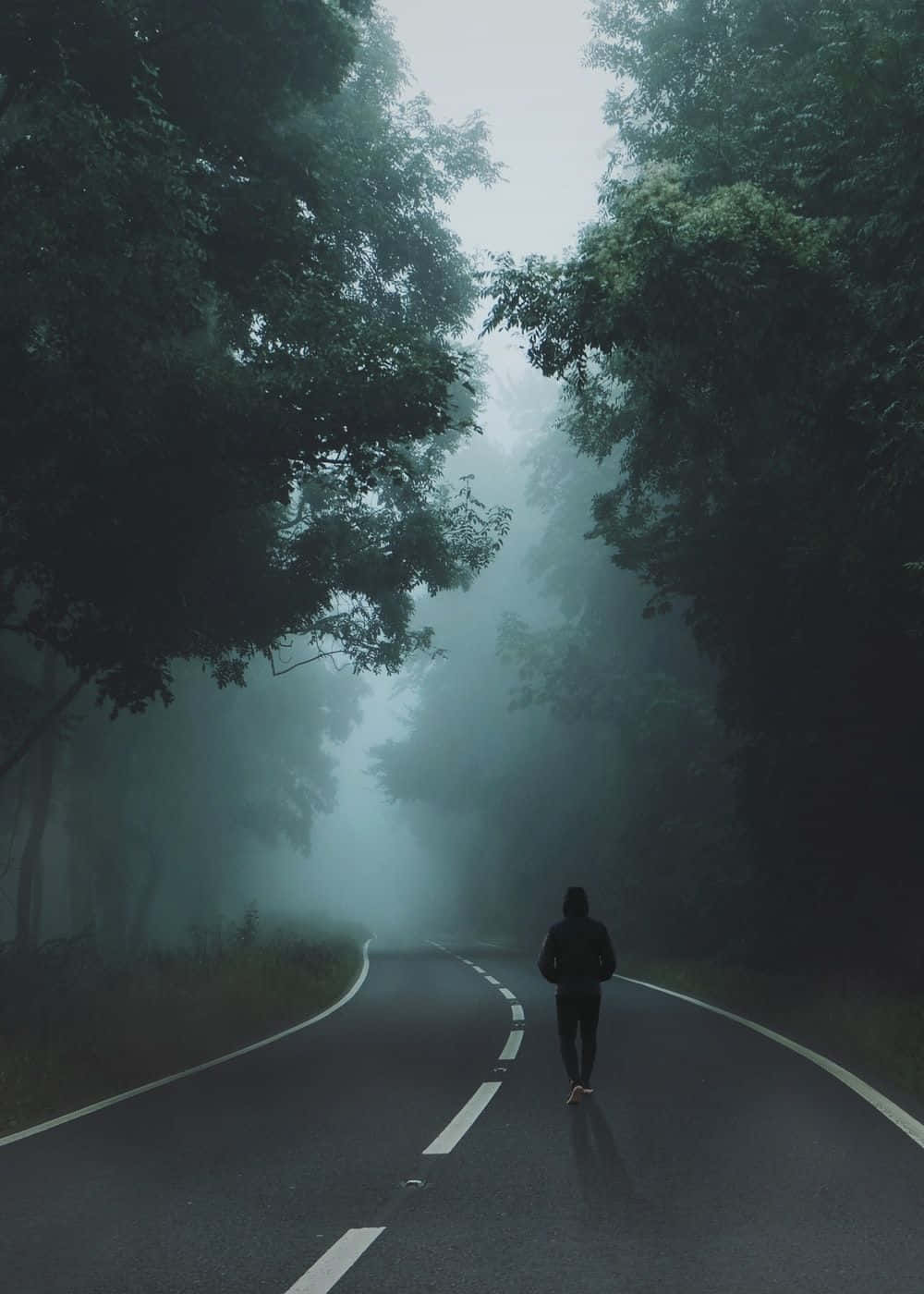黃昏時分，有人在霧氣瀰漫的樹林道路上奔跑。