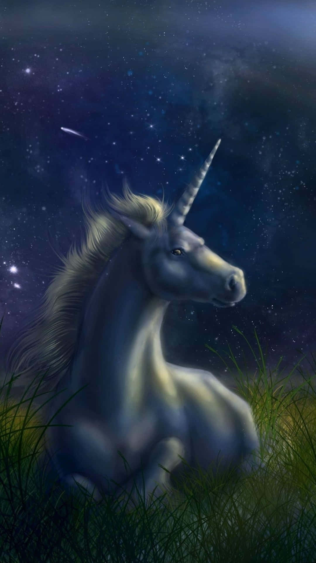 一隻銀色獨角獸坐在草地上，頭上是繁星點點的夜空，有一顆流星。