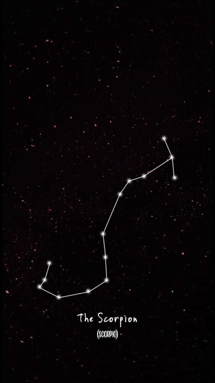 天蠍座以白色線條勾勒在繁星點點的夜空背景下。