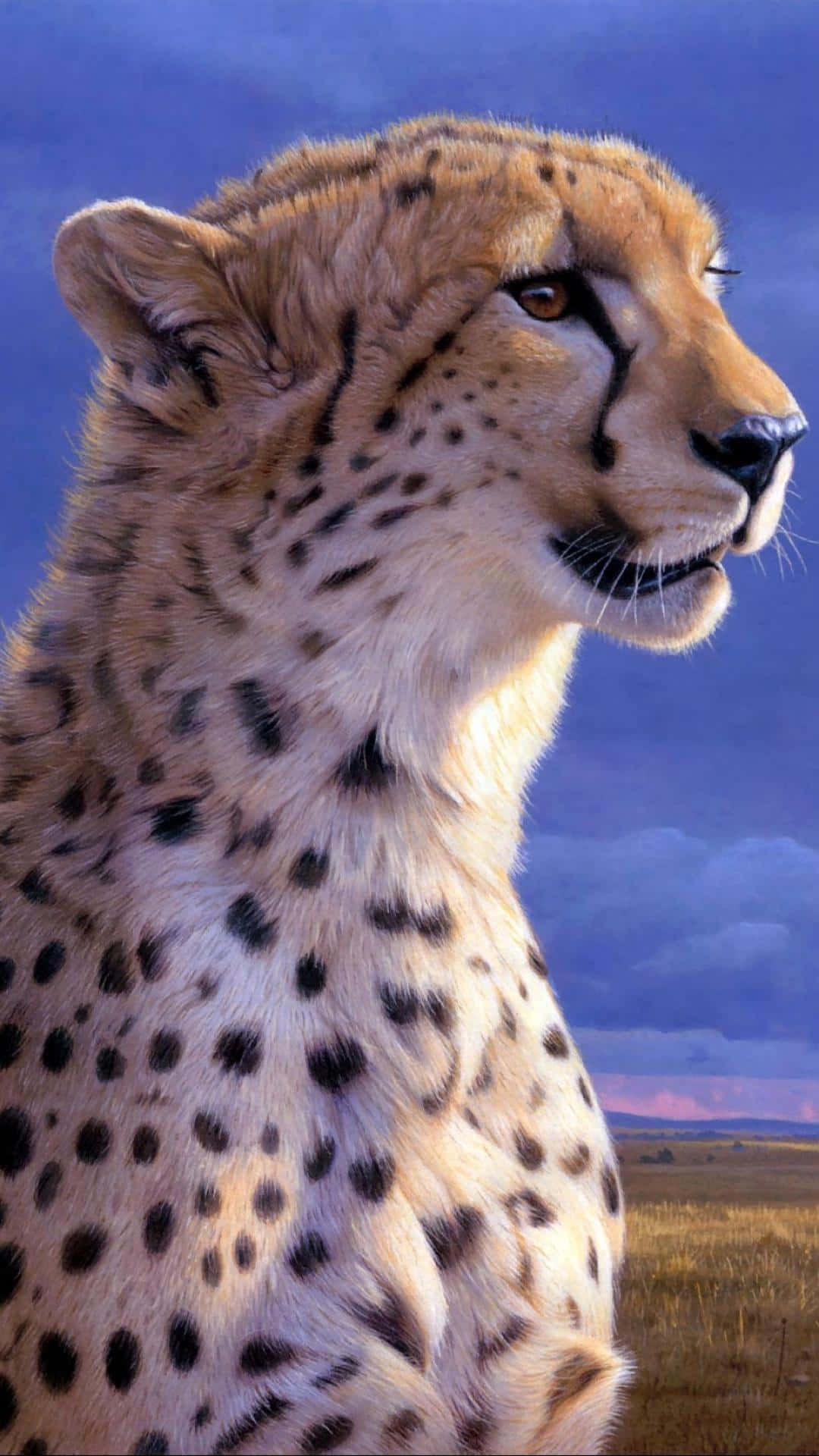 獵豹側面特寫，背景是稀樹草原的暮色天空。