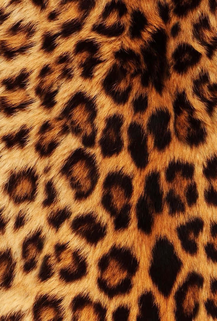 獵豹皮紋 iPhone 壁紙 — 近距離拍攝豐富的金色毛皮，帶有鮮明的黑色玫瑰花結，營造出奢華的動物印花質感。