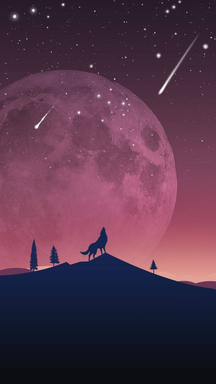 狼在粉紅色月亮和流星下在山丘上嚎叫