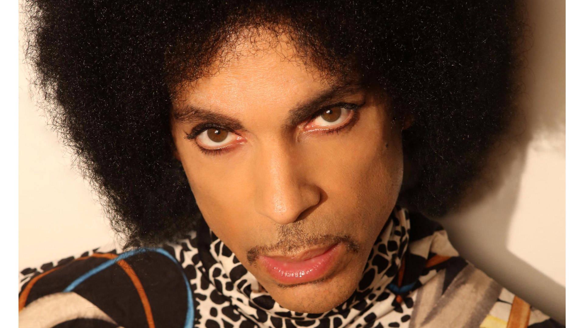 Prince 留著非洲爆炸頭，穿著豹紋領，直視鏡頭。