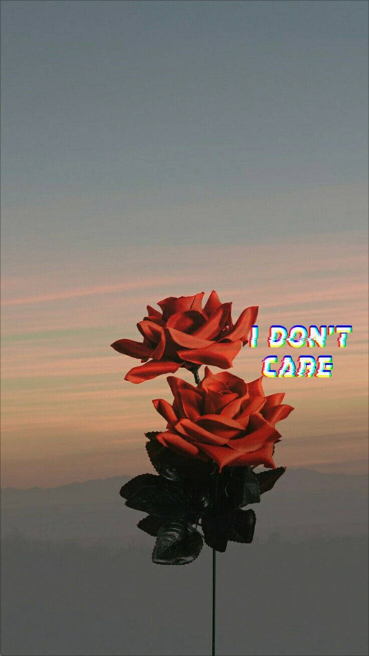 兩朵紅玫瑰，帶有故障風格文字 I DON'T CARE，襯托暮色天空。