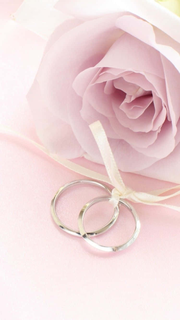 兩枚銀色結婚戒指放在粉紅玫瑰旁，帶有奶油色絲帶。