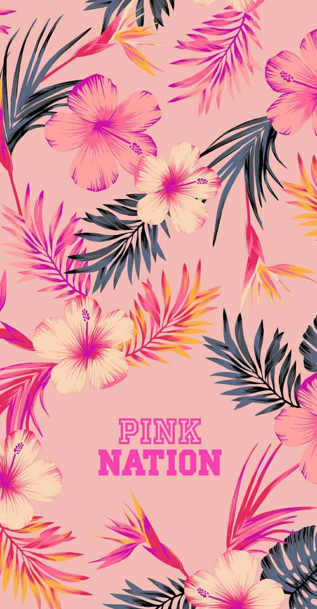 玫瑰金 Tumblr 粉紅國家 壁紙 — 鮮豔的粉紅色木芙蓉和熱帶葉子在柔和的粉紅色背景上綻放，粗體文字寫著 pink nation。