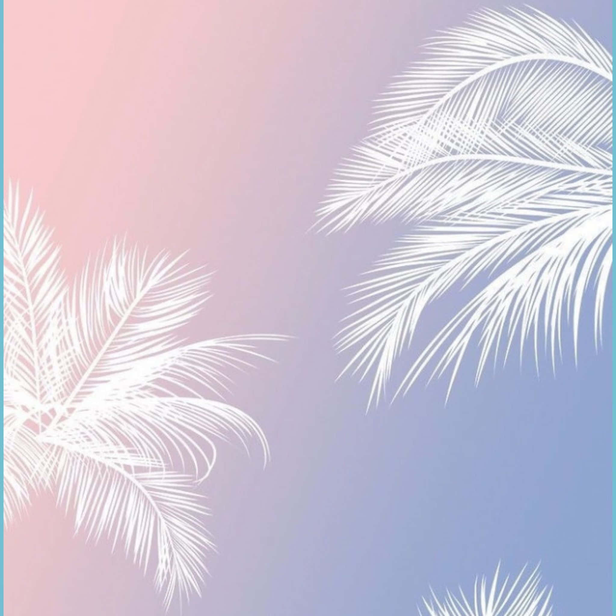 玫瑰金光芒 壁紙 — 白色棕櫚葉漂浮在從粉紅色漸變到薰衣草藍色的柔和天空上。