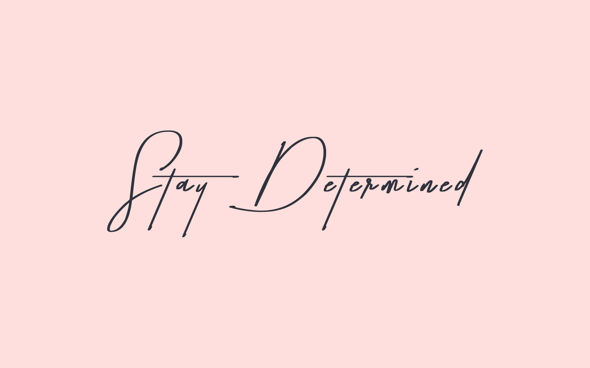 勵志名言 Stay Determined 以優雅黑色草書寫在粉紅色背景上