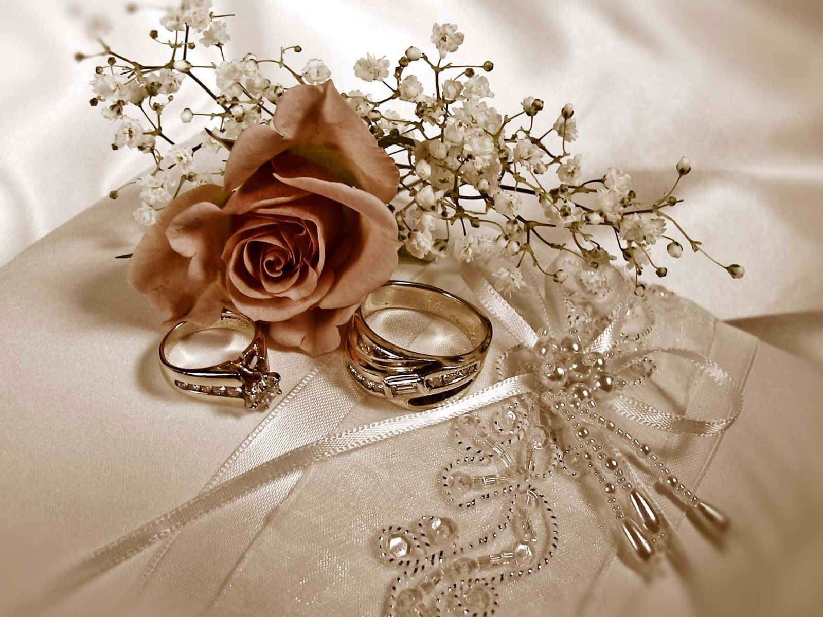 結婚戒指旁邊有一朵粉紅玫瑰和蕾絲，放在緞面枕頭上。