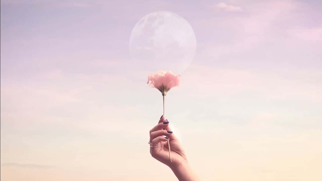 手拿粉紅玫瑰，背景是粉彩天空中的一輪大月亮。