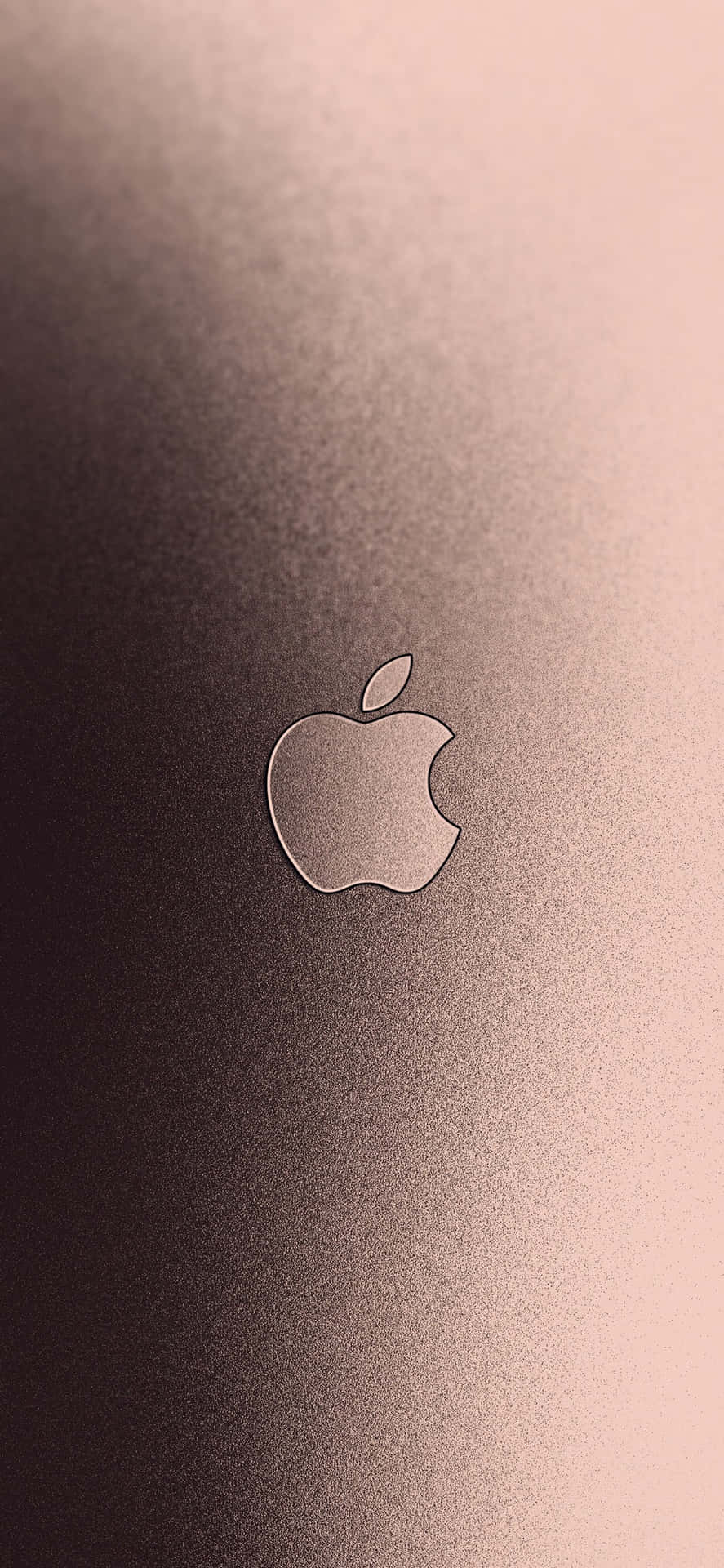 拉絲金屬上的Apple標誌，玫瑰金漸變背景