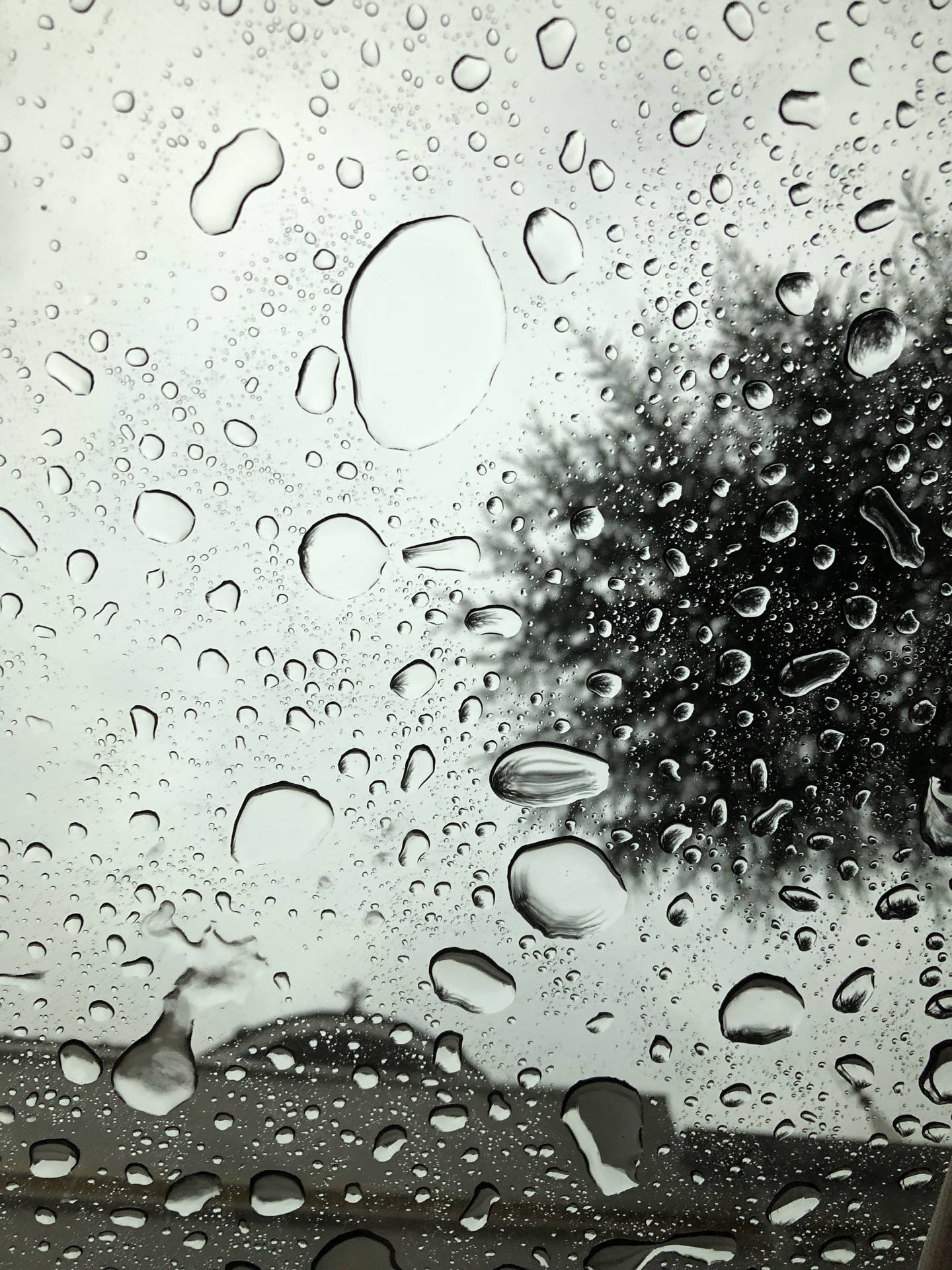 窗戶上的雨滴和背景中模糊的樹木。