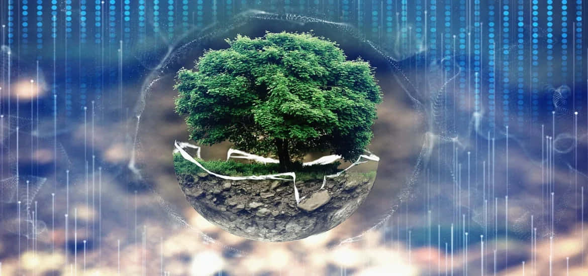 一棵樹在漂浮的地球儀上，周圍環繞著數位數據流和發光的藍色線條。