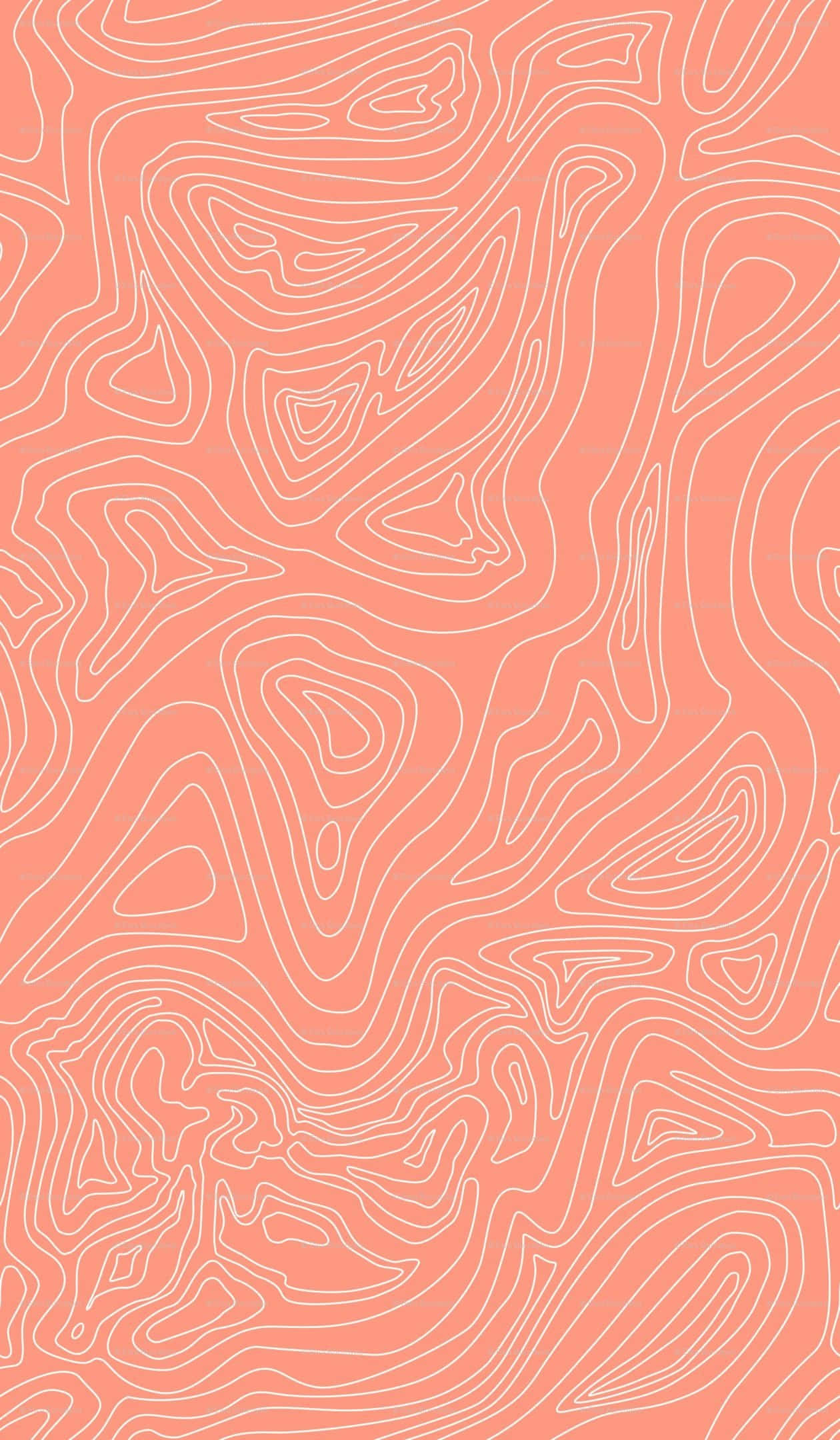 珊瑚 桌布 壁紙 — 珊瑚粉紅色背景，帶有流動的白色輪廓線，形成抽象的地形圖案。