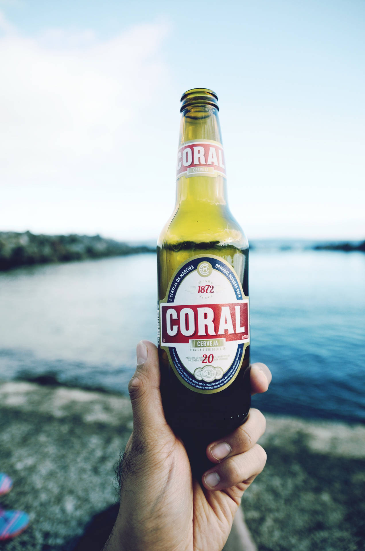 手在水邊拿著一瓶Coral啤酒。