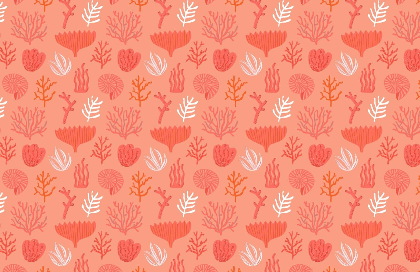 珊瑚與白色圖案布料：sarah_sass 於 Spoonflower 設計的訂製布料 壁紙