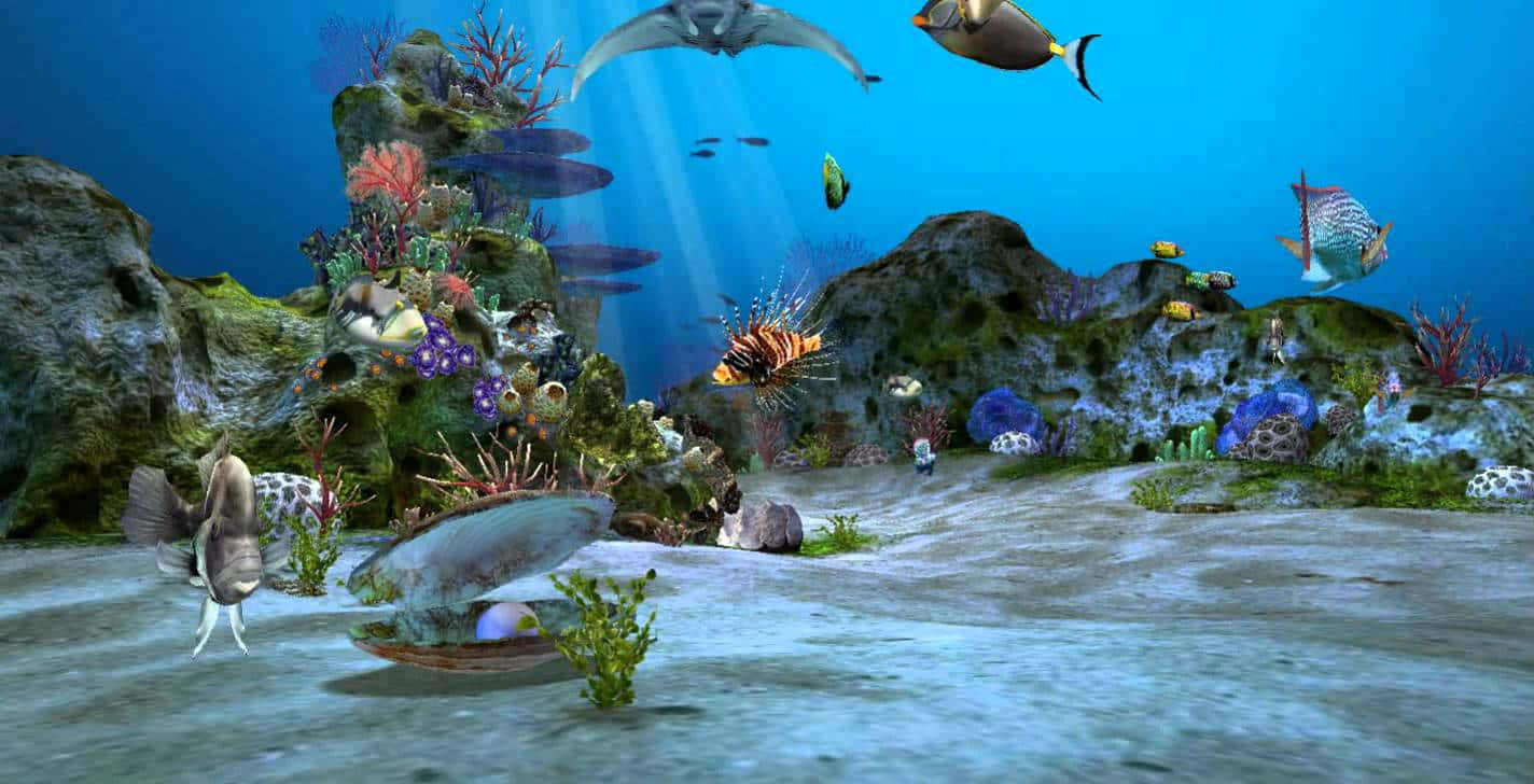 珍珠蚌殼魚缸背景 壁紙 — 充滿活力的珊瑚礁，在清澈的藍色海水下充滿了色彩繽紛的魚類和海洋生物。