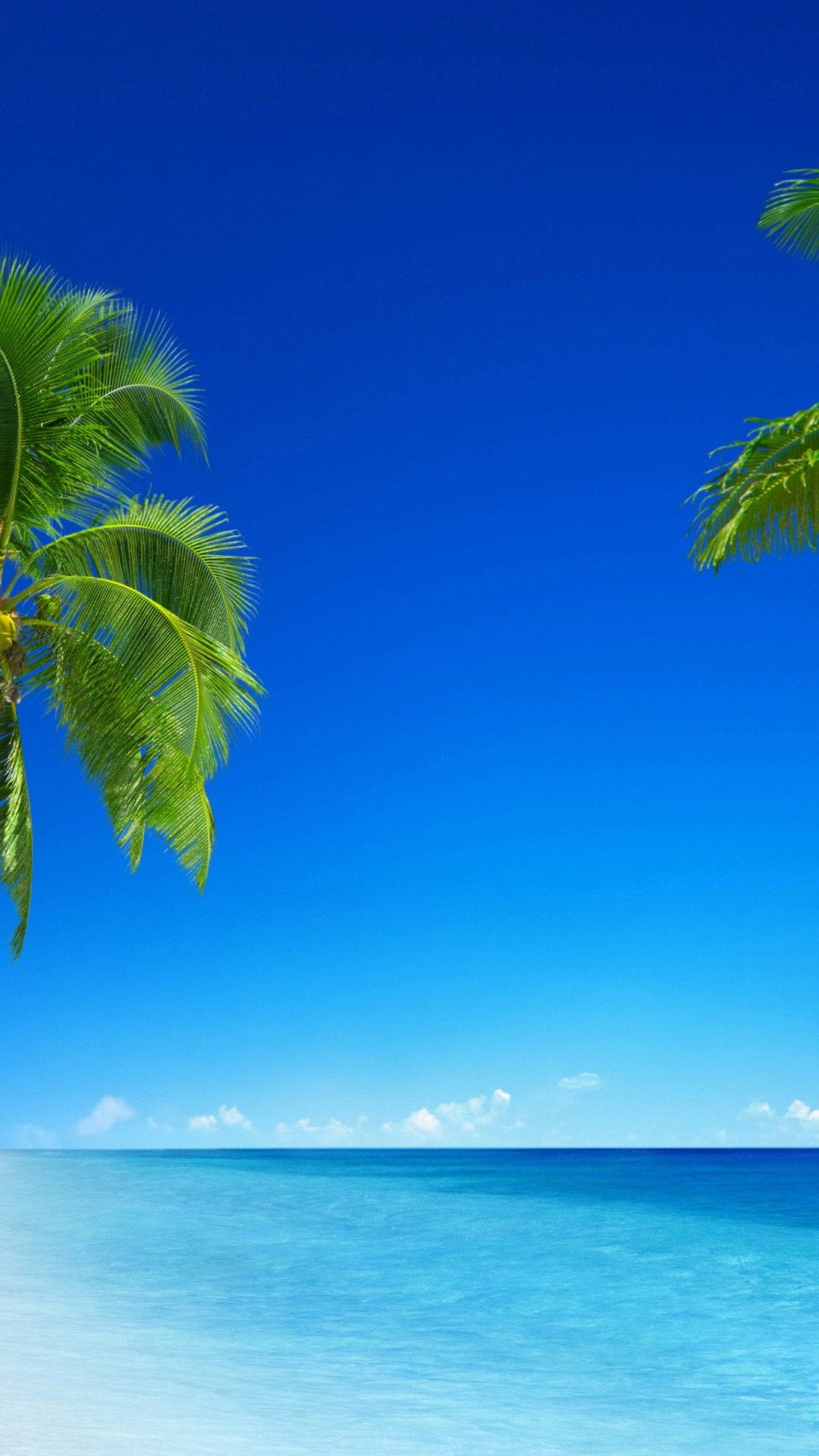 熱帶海灘，棕櫚樹和綠松石色的海水在清澈的藍天下。