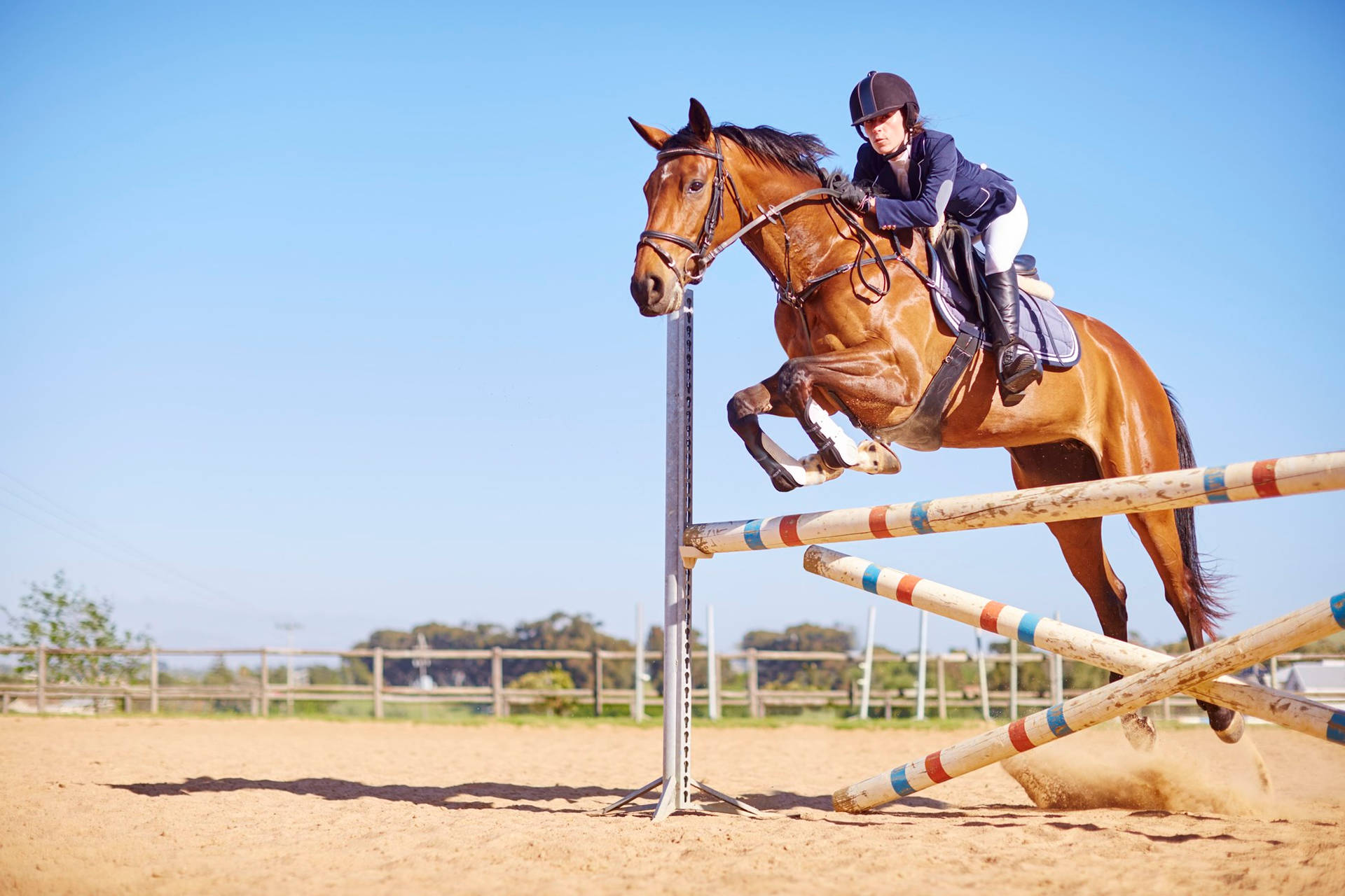 馬術運動員和馬匹在陽光明媚的戶外競技場中越過障礙。