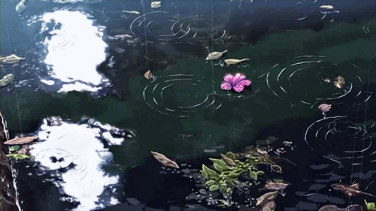 現代低音藝術創作 壁紙 — 一朵粉紅色的花漂浮在深色水面上，雨滴在周圍泛起漣漪，附近有樹葉漂流。