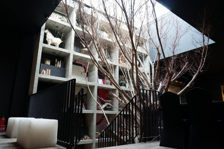 現代建築內的裸樹，配有混凝土書架和天窗
