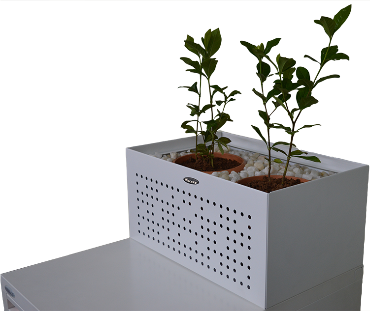 現代室內花盆與植物 壁紙 — 兩個細小的綠色植物在赤陶盆中，放在一個裝滿白色卵石的白色穿孔花盆裡，置於白色表面上，背景為黑色。